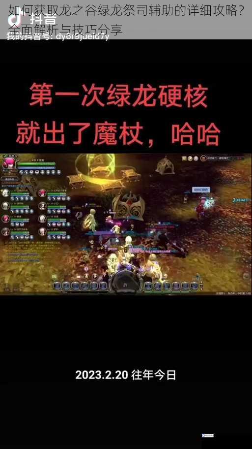 如何获取龙之谷绿龙祭司辅助的详细攻略?全面解析与技巧分享