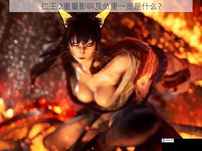 仁王 2重量影响及负重一览是什么?