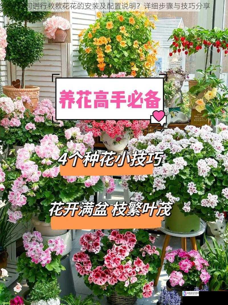 如何进行救救花花的安装及配置说明?详细步骤与技巧分享