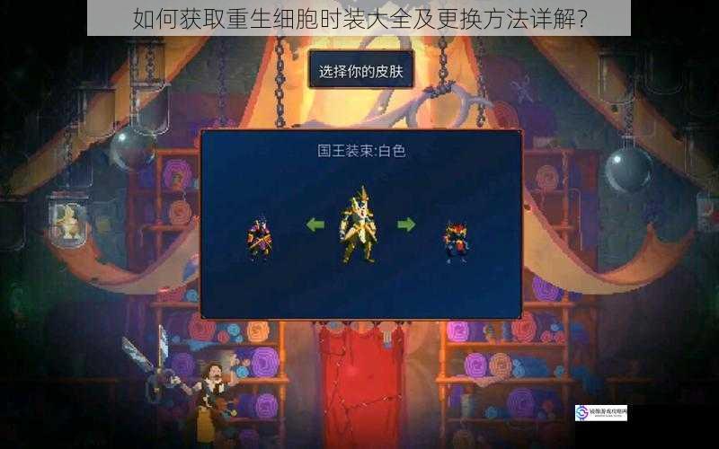 如何获取重生细胞时装大全及更换方法详解?