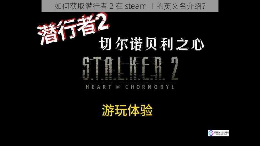 如何获取潜行者 2 在 steam 上的英文名介绍?