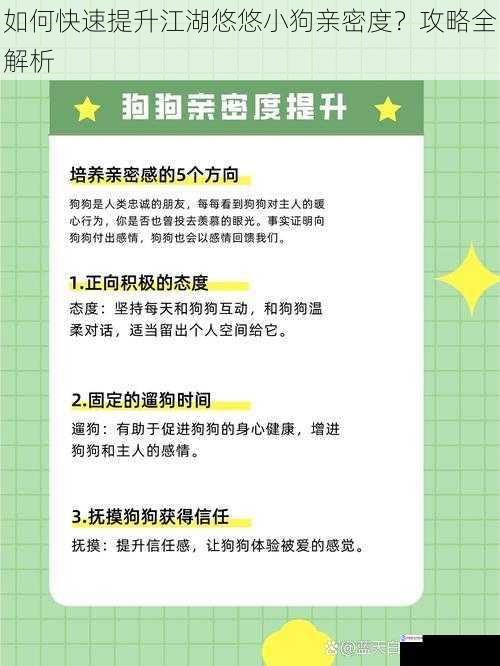 如何快速提升江湖悠悠小狗亲密度?攻略全解析