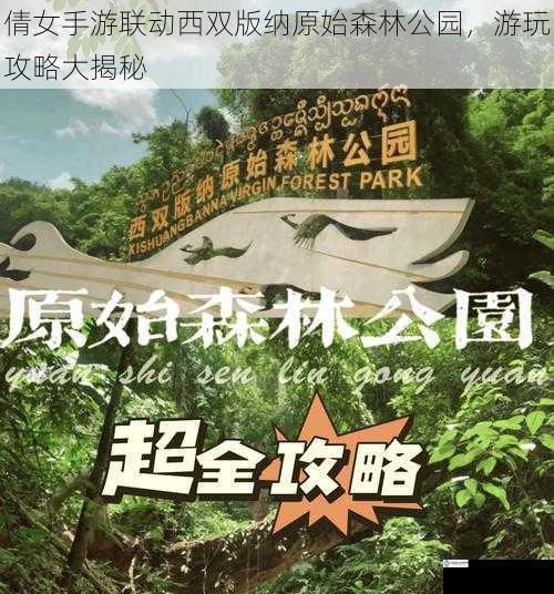 倩女手游联动西双版纳原始森林公园,游玩攻略大揭秘