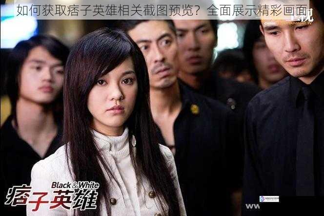 如何获取痞子英雄相关截图预览?全面展示精彩画面