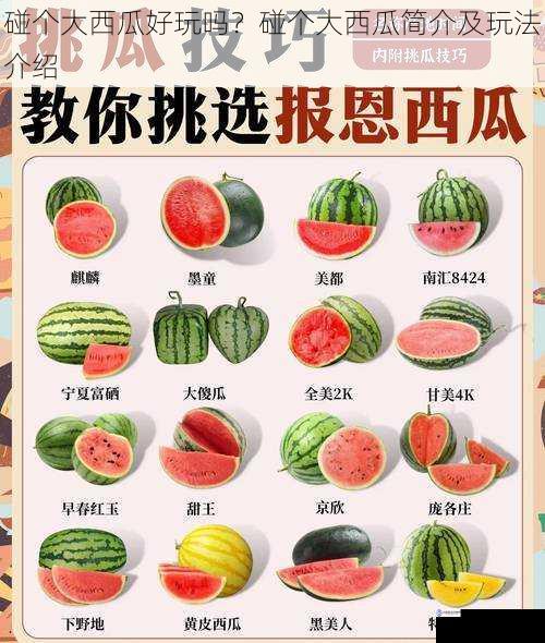 碰个大西瓜好玩吗?碰个大西瓜简介及玩法介绍
