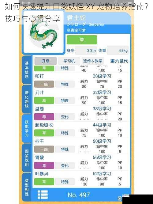 如何快速提升口袋妖怪 XY 宠物培养指南?技巧与心得分享