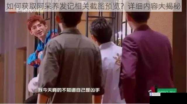 如何获取阿呆养发记相关截图预览?详细内容大揭秘