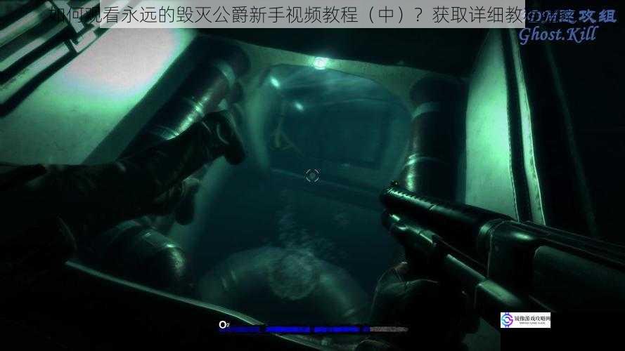 如何观看永远的毁灭公爵新手视频教程(中)?获取详细教程指南