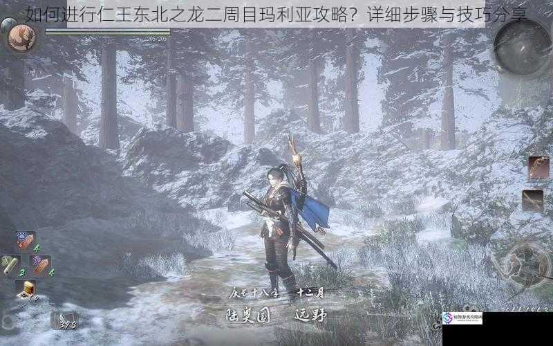 如何进行仁王东北之龙二周目玛利亚攻略?详细步骤与技巧分享