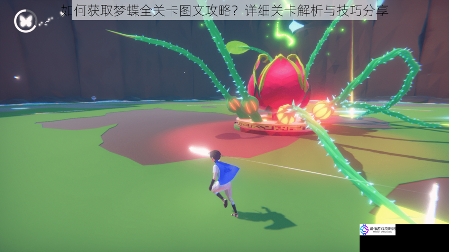 如何获取梦蝶全关卡图文攻略?详细关卡解析与技巧分享