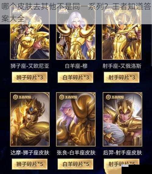 哪个皮肤去其他不是同一系列?王者知道答案大全