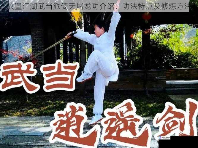 放置江湖武当派倚天屠龙功介绍:功法特点及修炼方法