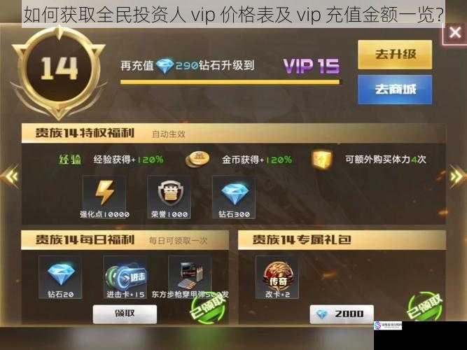 如何获取全民投资人 vip 价格表及 vip 充值金额一览?