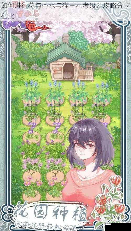 如何进行花与香水与猫三星考级?攻略分享在此