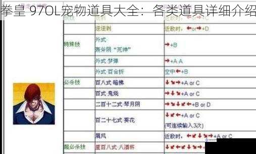 拳皇 97OL宠物道具大全:各类道具详细介绍