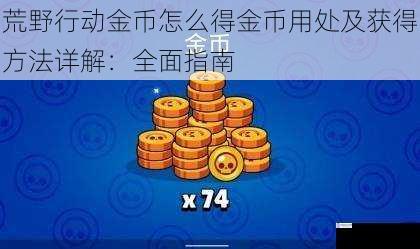 荒野行动金币怎么得金币用处及获得方法详解:全面指南