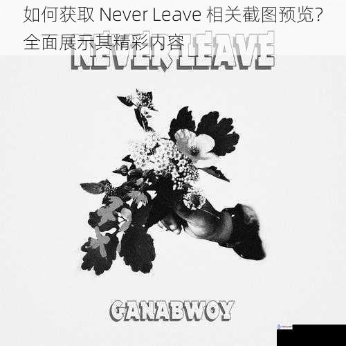 如何获取 Never Leave 相关截图预览?全面展示其精彩内容