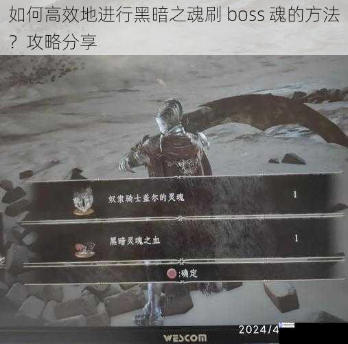 如何高效地进行黑暗之魂刷 boss 魂的方法?攻略分享