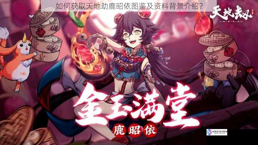 如何获取天地劫鹿昭依图鉴及资料背景介绍?