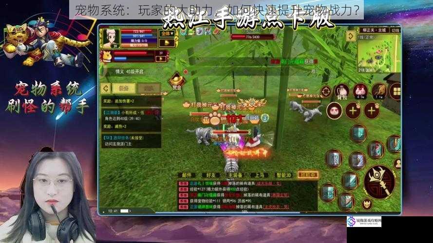 宠物系统:玩家的大助力,如何快速提升宠物战力?