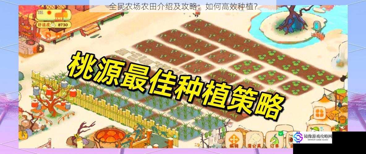 全民农场农田介绍及攻略:如何高效种植?
