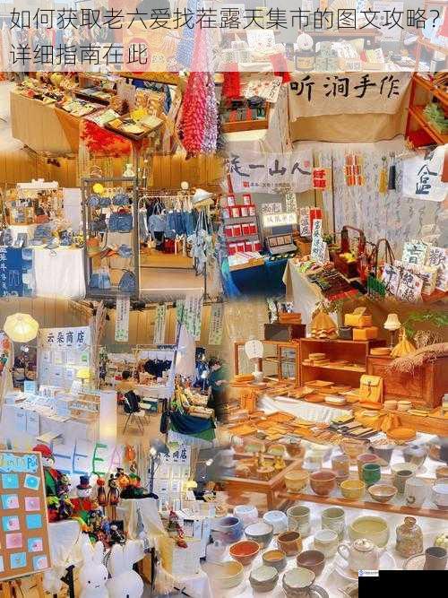 如何获取老六爱找茬露天集市的图文攻略?详细指南在此