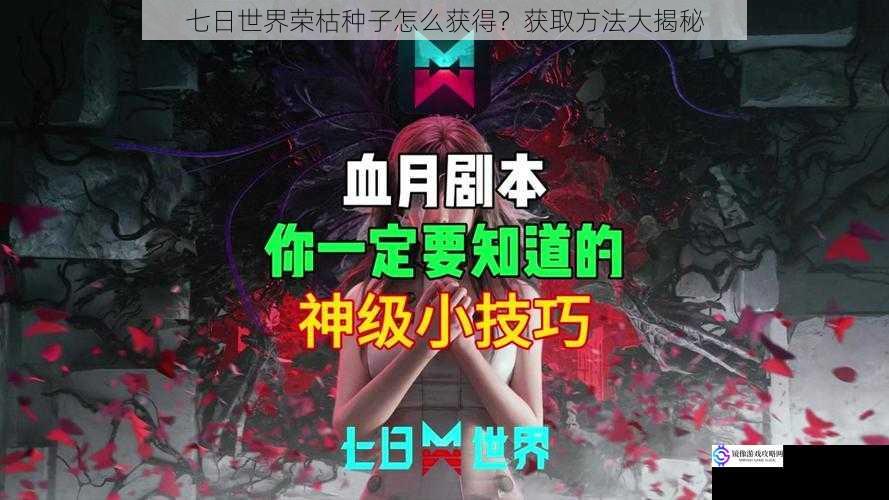 七日世界荣枯种子怎么获得?获取方法大揭秘