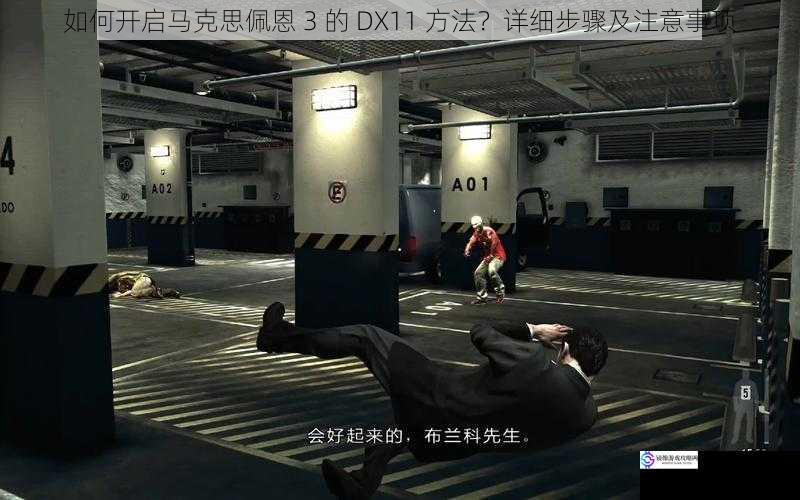 如何开启马克思佩恩 3 的 DX11 方法?详细步骤及注意事项