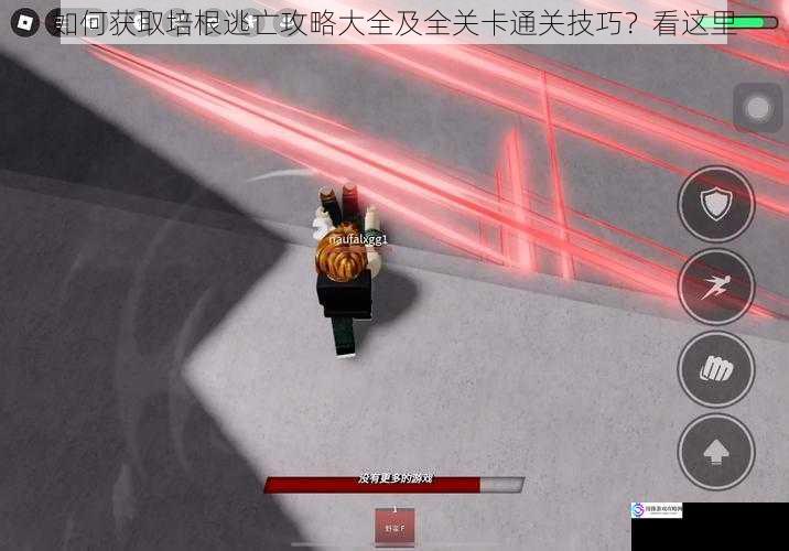 如何获取培根逃亡攻略大全及全关卡通关技巧?看这里