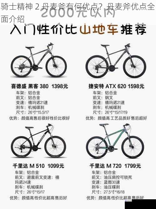 骑士精神 2 丹麦斧有何优点?丹麦斧优点全面介绍