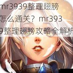 mr3939 整理翅膀怎么通关?mr3939 整理翅膀攻略全解析