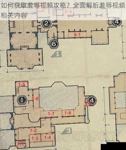 如何获取羞辱视频攻略?全面解析羞辱视频相关内容