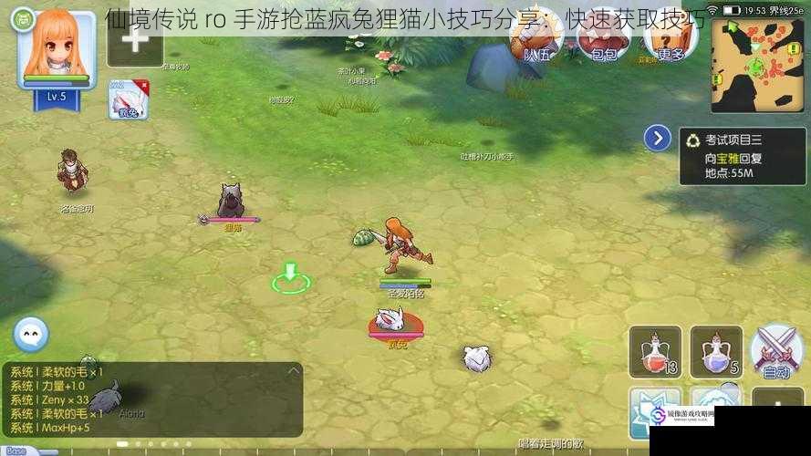 仙境传说 ro 手游抢蓝疯兔狸猫小技巧分享:快速获取技巧