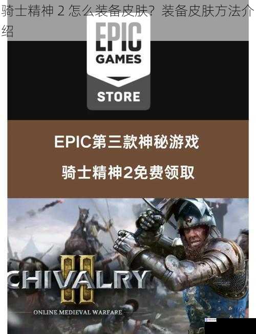 骑士精神 2 怎么装备皮肤?装备皮肤方法介绍