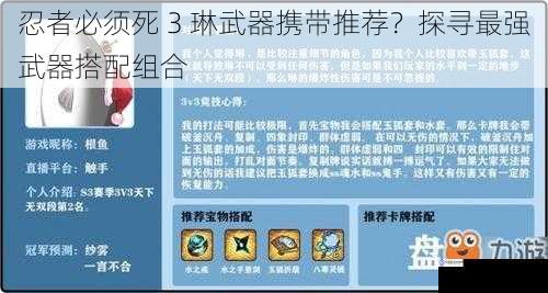 忍者必须死 3 琳武器携带推荐?探寻最强武器搭配组合