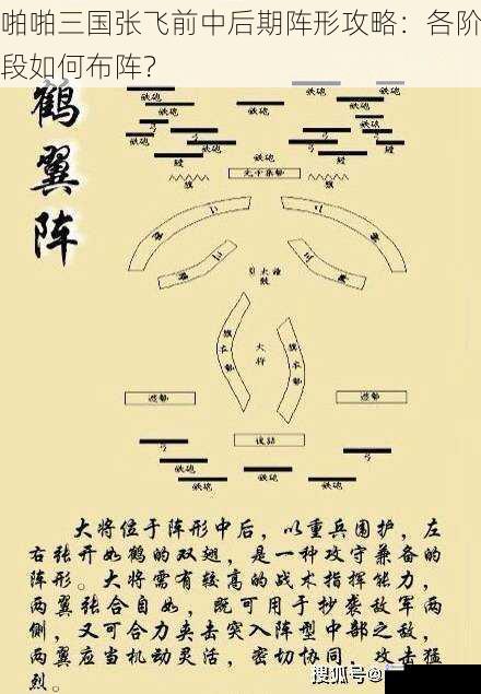 啪啪三国张飞前中后期阵形攻略:各阶段如何布阵?