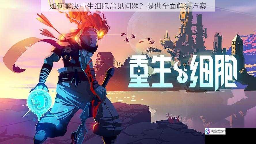 如何解决重生细胞常见问题?提供全面解决方案