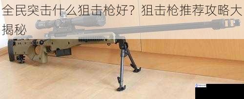 全民突击什么狙击枪好?狙击枪推荐攻略大揭秘