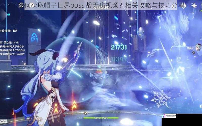 如何获取帽子世界boss 战无伤视频?相关攻略与技巧分享