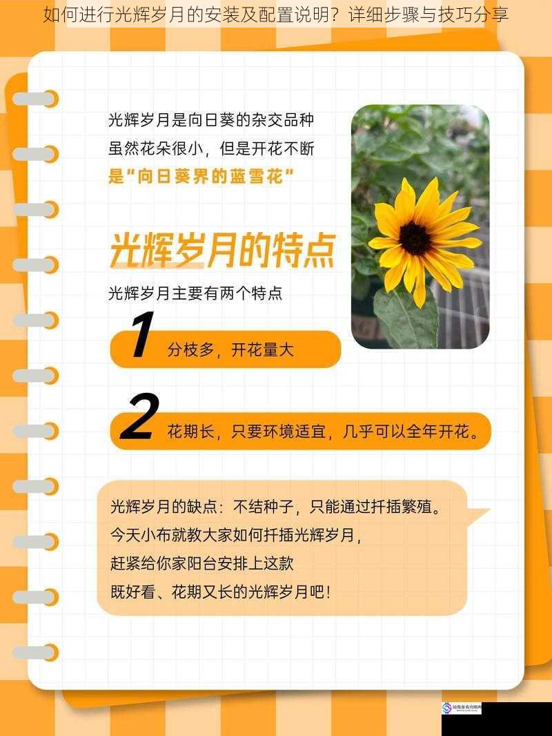 如何进行光辉岁月的安装及配置说明?详细步骤与技巧分享