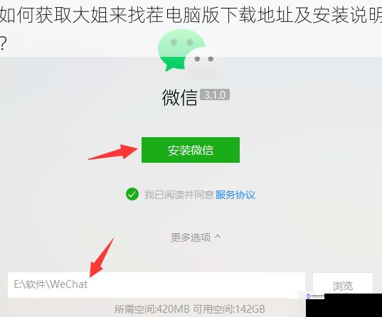 如何获取大姐来找茬电脑版下载地址及安装说明?