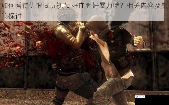 如何看待仇恨试玩视频:好血腥好暴力哦?相关内容及影响探讨