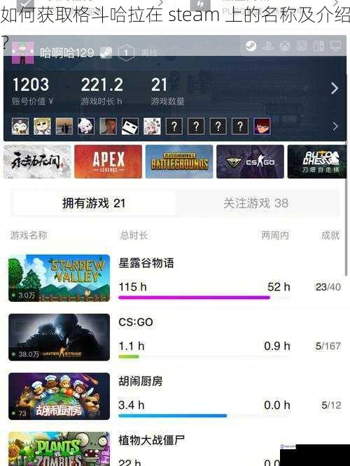 如何获取格斗哈拉在 steam 上的名称及介绍?