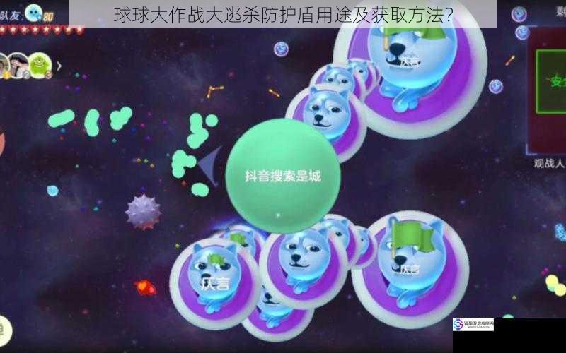 球球大作战大逃杀防护盾用途及获取方法?