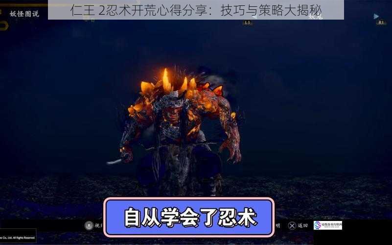 仁王 2忍术开荒心得分享:技巧与策略大揭秘