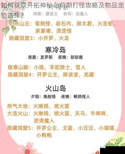 如何获取开拓神秘岛前期打怪攻略及物品宠物选择?