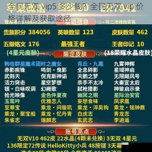 全民无双 vip5 多少钱?全民无双 vip 价格详解及获取途径