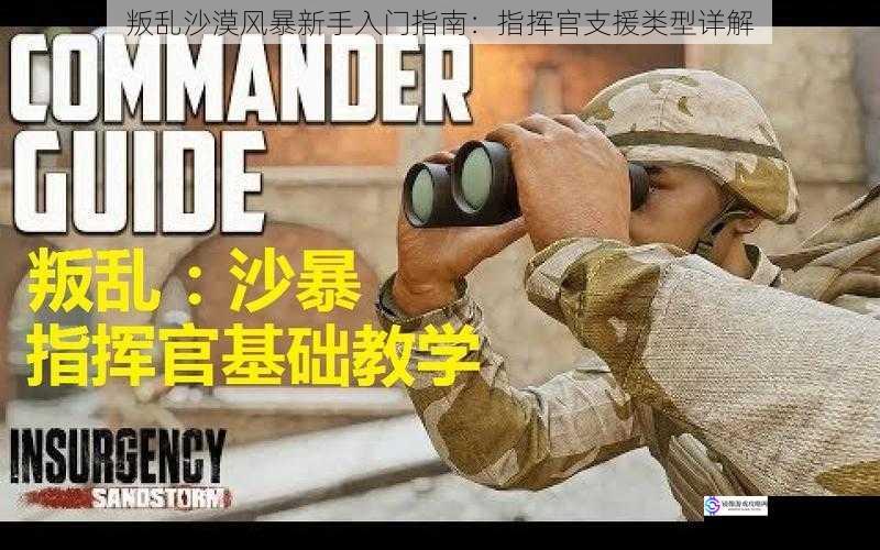 叛乱沙漠风暴新手入门指南:指挥官支援类型详解