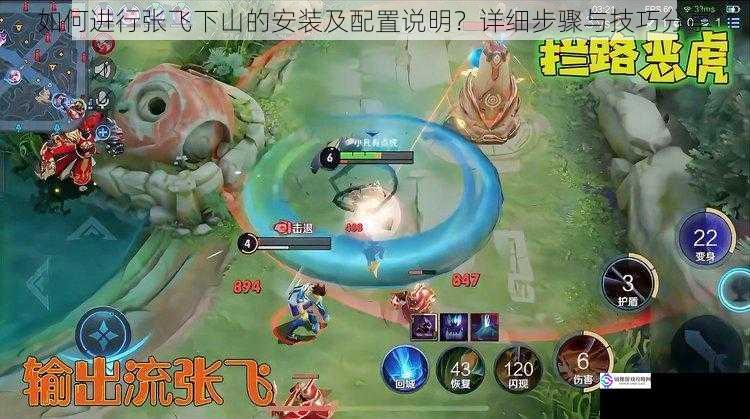 如何进行张飞下山的安装及配置说明?详细步骤与技巧分享