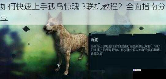 如何快速上手孤岛惊魂 3联机教程?全面指南分享
